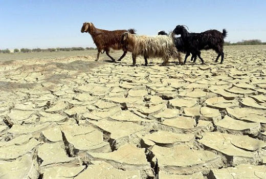 خشکسالی در چهارمحال و بختیاری 12 ساله شد 