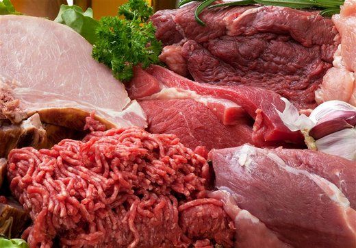اجرای طرح تشدید کنترل و نظارت بهداشتی بر مواد خام دامی در همدان