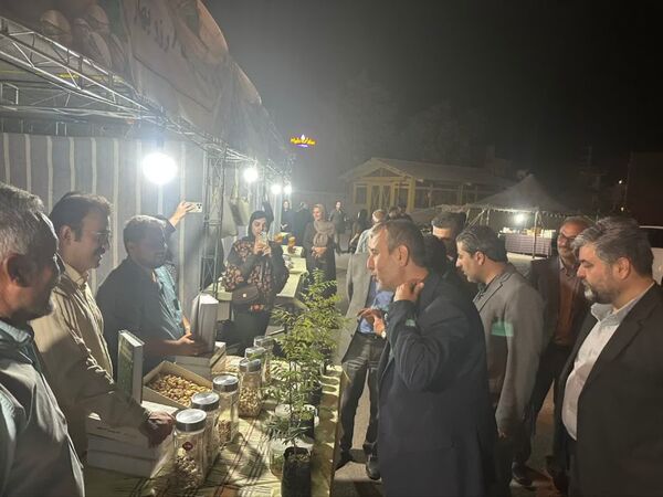 چهارمین جشنواره پسته؛ ویترین ظرفیت‌های کشاورزی و گردشگری بوئین‌زهرا