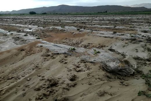 سیل در نی ریز 1900 میلیارد ریال خسارت بر جای گذاشت 