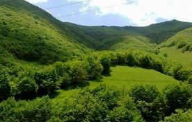 «آموزش، ترویج و مشارکت مردم» سپر اجتماعی یگان حفاظت در برابر سوداگران منابع طبیعی