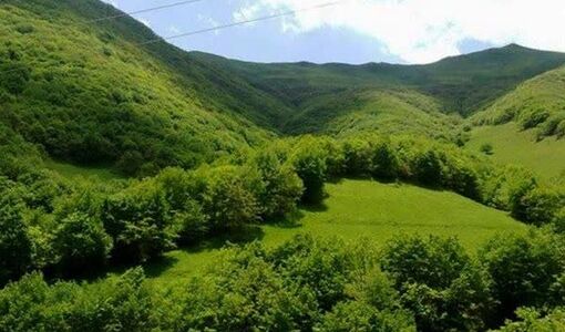 «آموزش، ترویج و مشارکت مردم» سپر اجتماعی یگان حفاظت در برابر سوداگران منابع طبیعی