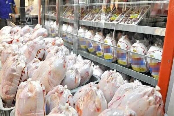 عرضه مرغ گرم به وفور دربازار آذربایجان غربی