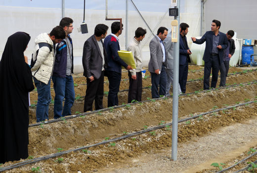 دانشجویان خلاق و کارآفرین؛ نیاز دانشگاه نسل سوم