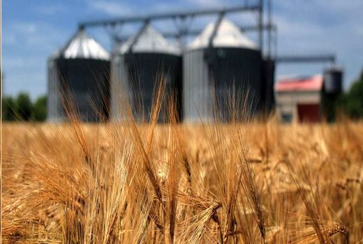 ظرفیت ذخیره‌سازی گندم در چهارمحال و بختیاری  ۱۴۵ هزار تن است