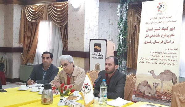 تاسیس تعاونی شترداران خراسان رضوی در آینده ای نزدیک