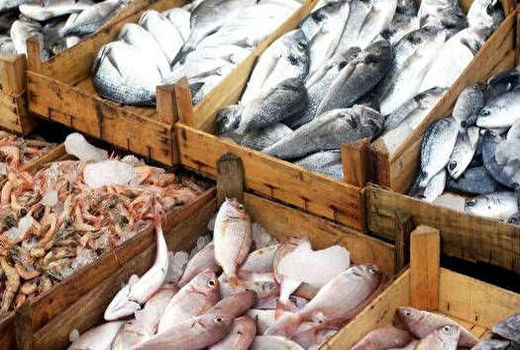 صادرات 2147 تن محصولات شیلاتی بوشهر  به خارج از کشور