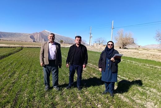 پایش مستمر مزارع و فرآیند توزیع نهاده ها در مرودشت