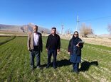 پایش مستمر مزارع و فرآیند توزیع نهاده ها در مرودشت