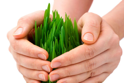 پرداخت 600 میلیارد ریال غرامت به کشاورزان آذربایجان شرقی