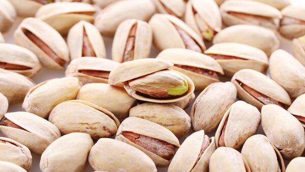صادرات 20 تن پسته از سروستان به روسیه