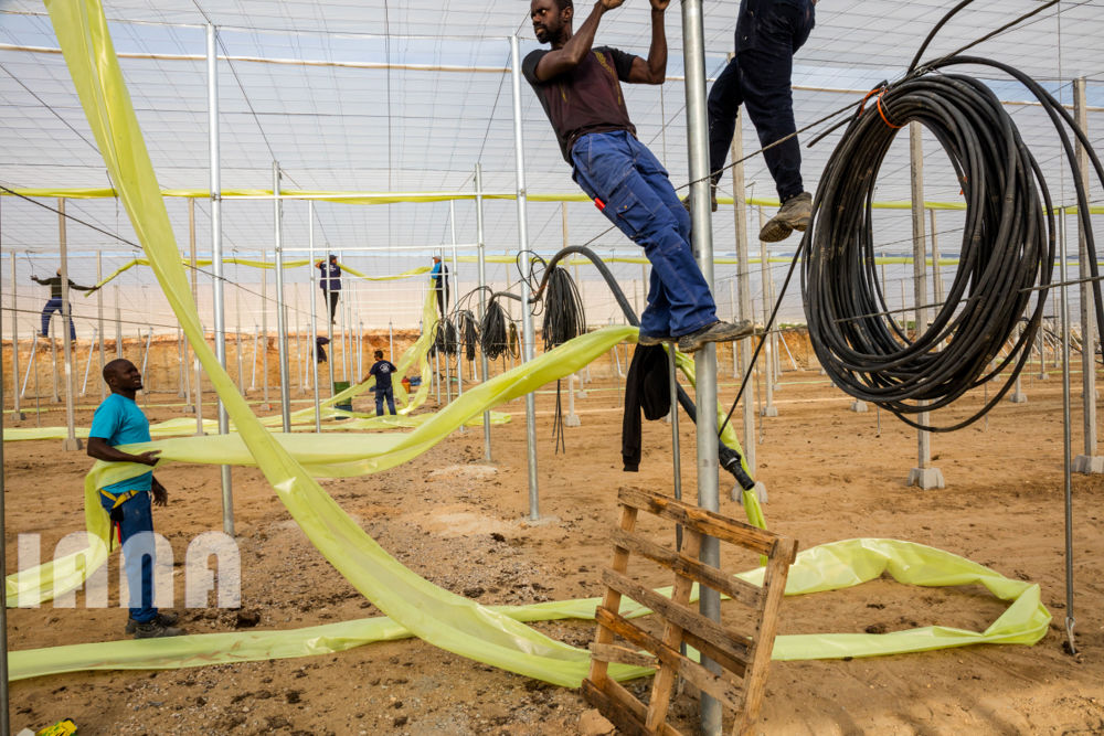 انقلاب غذا در اروپا