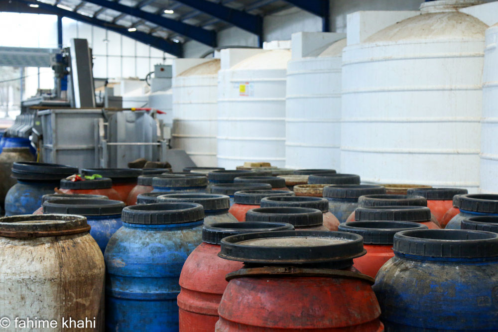 از لمس شاخه تا عصاره ی نور  