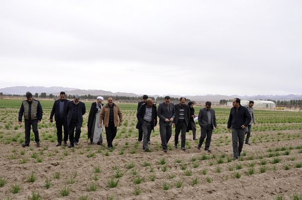 بازدید استاندار خراسان جنوبی از مرکز تحقیقات کشاورزی استان