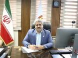 گوسفندان ایرانی برگ برنده دامپروری ایران/ محققان ایرانی بهره‌وری گوسفندان بومی را افزایش دادند 