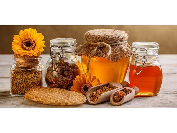 تولید 13 کیلو عسل در هر کندو/ تولید 900 تنی عسل در تنکابن