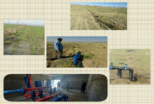 اجرای طرح آبیاری تحت فشار به روش مینی بابلر در سطح 33 هکتار از اراضی سربیشه