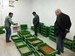 ایران رتبه یک تا سه فرسایش خاک را دارد/ ایستگاه خواجه مرجع ملی تحقیقات مارن