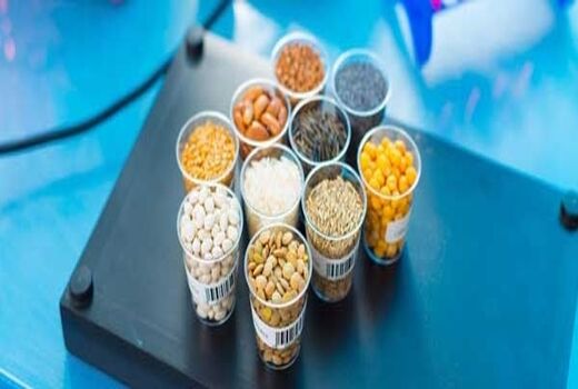 حمایت 50 هزار میلیارد ریالی بانک کشاورزی از تولید بذور مقاوم و پربازده