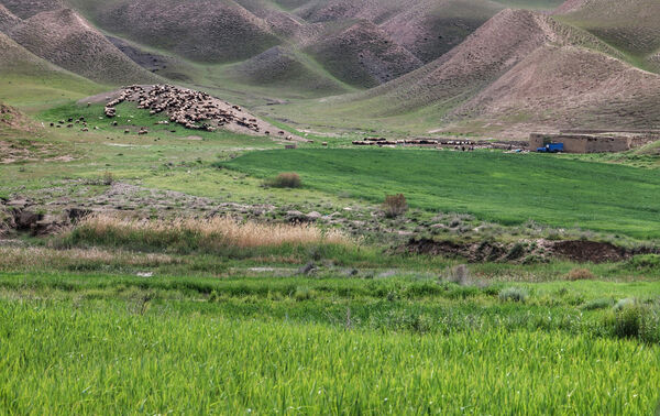 پایش مراتع ییلاقی شهرستان سرخه آغاز شد