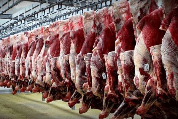 اجرای طرح ضربتی نظارت بر فرآورده های خام دامی  خوزستان