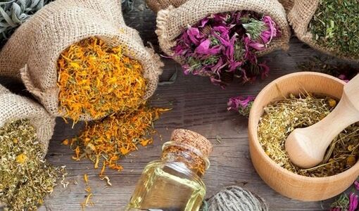 گیاهان دارویی را از خام‌فروشی به زنجیره ارزش برسانیم