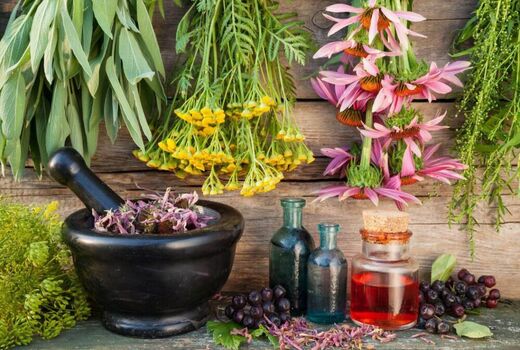 مکان یابی برای احداث کارگاه فرآوری و بسته بندی گیاهان دارویی