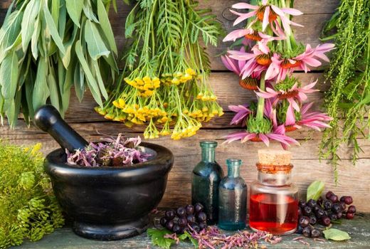 مکان یابی برای احداث کارگاه فرآوری و بسته بندی گیاهان دارویی