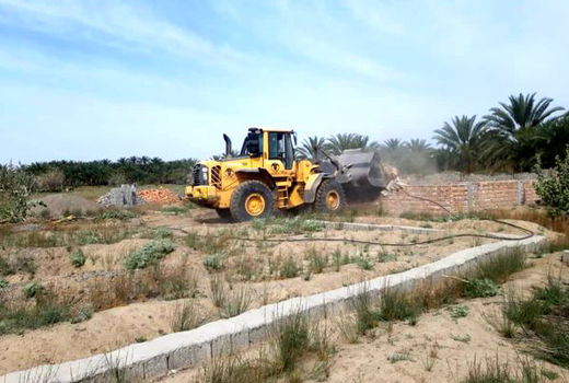 بالغ بر26هزار مترمربع زمین کشاورزی در سیستان و بلوچستان به عرصه تولید بازگشت