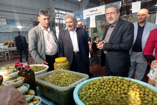 نخستین جشنواره روستایی و عشایری استان قزوین