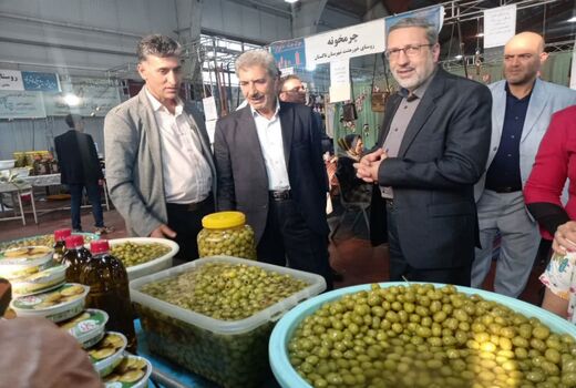 نخستین جشنواره روستایی و عشایری استان قزوین