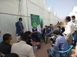 برگزاری دوره آموزشی مهارتی مدیریت تولید فلفل گلخانه ای در استان یزد
