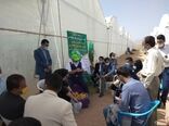 برگزاری دوره آموزشی مهارتی مدیریت تولید فلفل گلخانه ای در استان یزد
