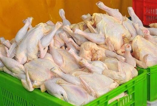 قیمت مرغ در کهگیلویه و بویراحمد تعیین شد