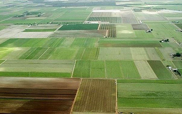 سهم‌خواهی از محصول شیوه‌ای برای اجاره دادن اراضی کشاورزی