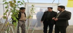 توسعه سیستم‌های نوین آبیاری اولویت سازمان جهاد کشاورزی اصفهان