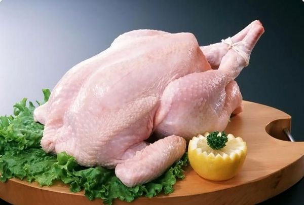 قیمت‌گذاری روی مرغ به نفع بخش تولید نیست