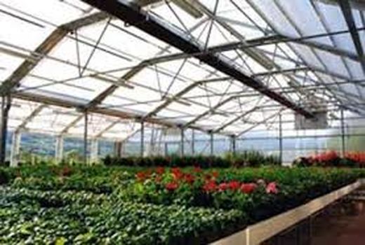 اجرای همه تعهدات توسعه گلخانه‌ها تا پایان امسال