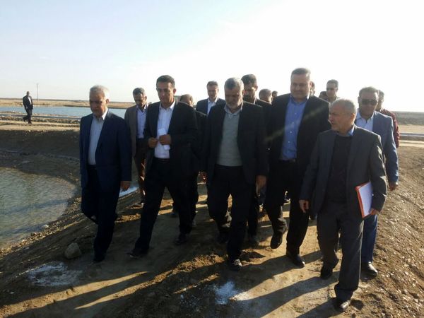 39 درصد میگوی‌کشور در بندر عباس کشت می‌شود