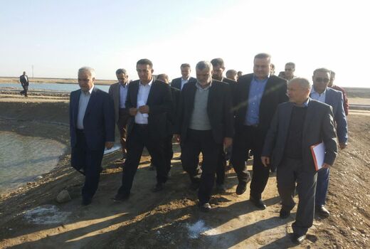 39 درصد میگوی‌کشور در بندر عباس کشت می‌شود