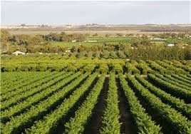 تدوین طرح الگوی کشت برای نقاط مختلف کشور