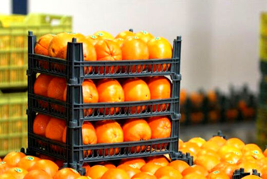 فرصت ۶۰۰ میلیون دلاری بازار چین برای باغداران