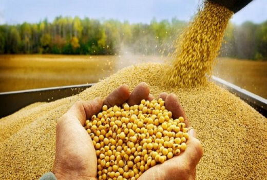 قزوین بستر مناسبی برای پشتیبانی نهاده‌های استراتژیک در کشور است