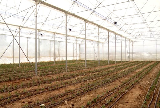 حل مشکل انشعاب گاز گلخانه داران فلاورجانی