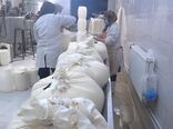 تشکیل صندوق‌های خرد محلی؛ هر روستا یک محصول