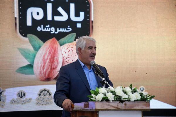 لزوم ایجاد دبیرخانه دائمی جشنواره بادام خسروشاه برای برندسازی و ارزشآفرینی اقتصادی