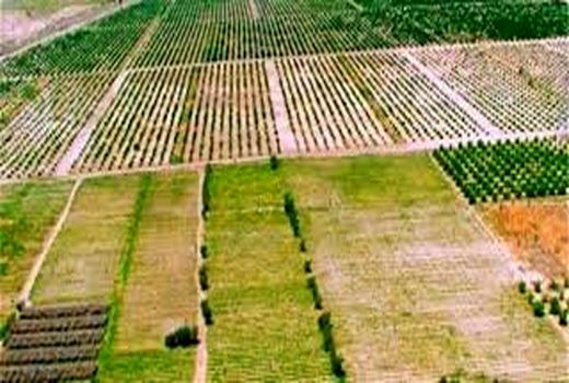 اجرای طرح کاداستر گامی بزرگ در راستای توسعه کشاورزی است