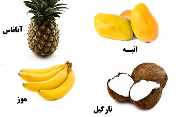 خوداتکایی 50 درصدی در تولید میوه های گرمسیری/ از خروج 500 میلیون دلار ارز جلوگیری خواهد شد