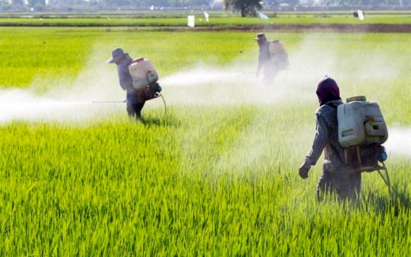 ضرورت جرم‌انگاری فروش آفتکش‌ها در فضای مجازی