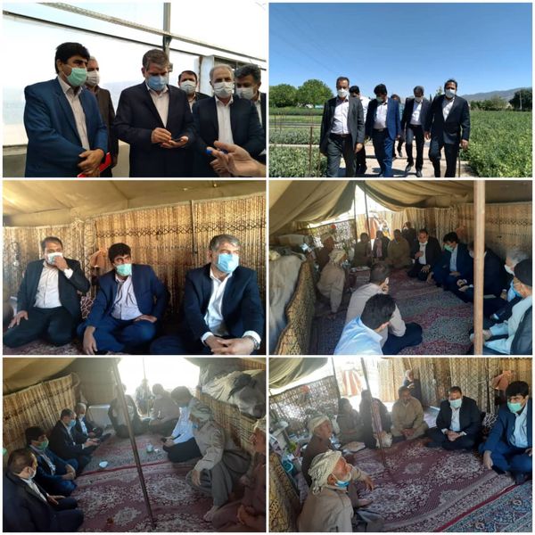 بررسی دغدغه های کشاورزان و دامداران ایلامی  توسط رئیس کمیسیون کشاورزی